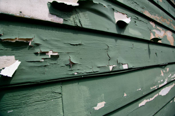 Trusted Addison, IL Junk Removal Experts