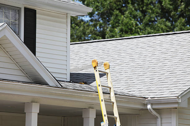 Best Attic Cleanout  in Addison, IL